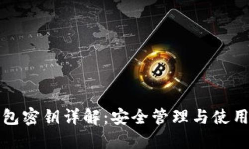 TP钱包密钥详解：安全管理与使用指南