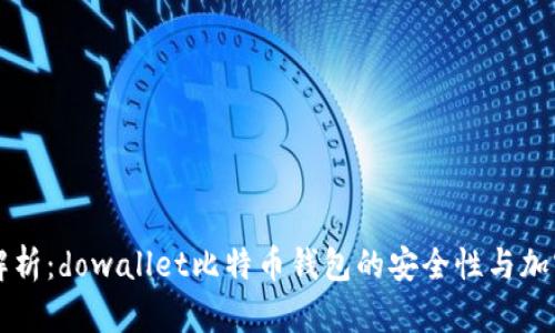 深入解析：dowallet比特币钱包的安全性与加密技术