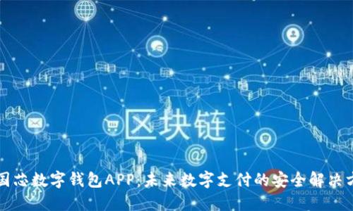 中国芯数字钱包APP：未来数字支付的安全解决方案