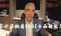 TP钱包是否必须拥有BNB？全