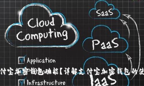 如何找到支付宝加密钱包功能？详解支付宝加密钱包的使用与安全性