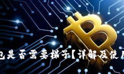 TP钱包是否需要梯子？详解及使用指南