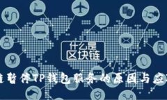 币安链暂停TP钱包服务的原