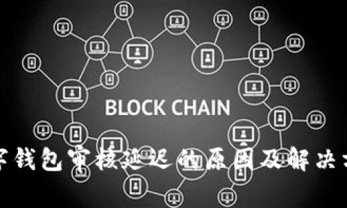 数字钱包审核延迟的原因及解决方案