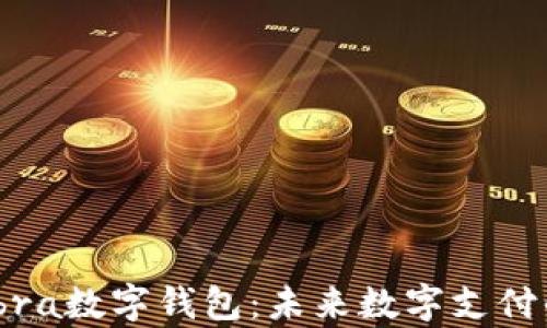 
全面解析Ibra数字钱包：未来数字支付的最佳选择