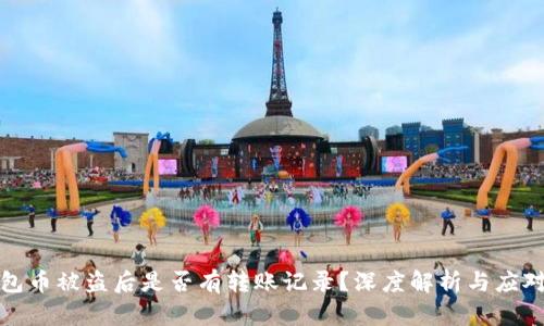 TP钱包币被盗后是否有转账记录?深度解析与应对方案