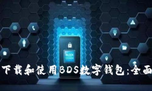 如何下载和使用BDS数字钱包：全面指南