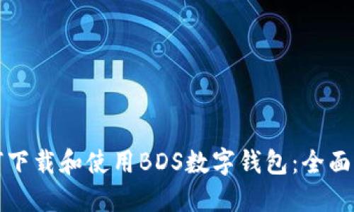 如何下载和使用BDS数字钱包：全面指南