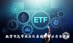  数字钱包审核延迟原因与