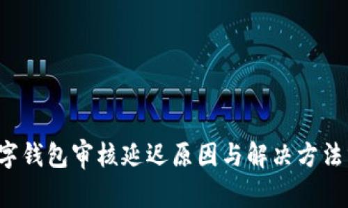  数字钱包审核延迟原因与解决方法分析