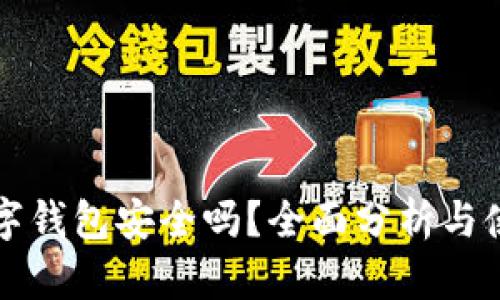泰达数字钱包安全吗？全面分析与使用指南