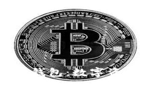 全面了解TP小狐狸钱包：数字资产管理的未来选择