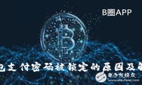 数字钱包支付密码被锁定的原因及解决方法