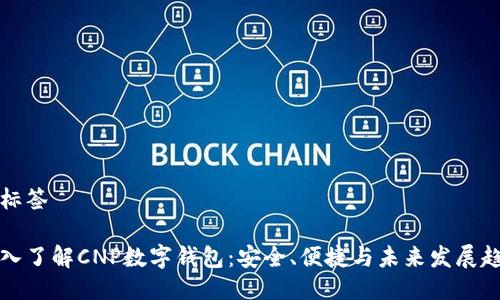 及标签

深入了解CNP数字钱包：安全、便捷与未来发展趋势