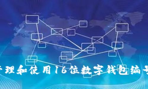 如何安全管理和使用16位数字钱包编号：完整指南
