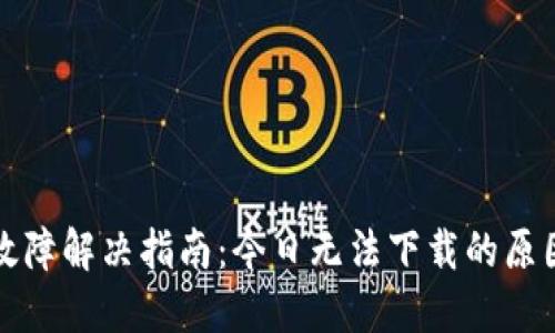 TP钱包下载故障解决指南：今日无法下载的原因与解决方法