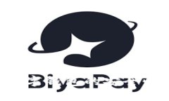 如何确保数字钱包的安全