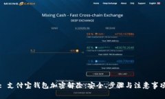 : 支付宝钱包加密解除：安