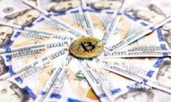 如何在TP钱包中查看和计算