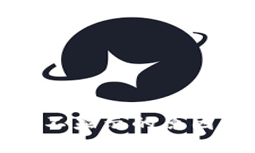 TP钱包资产价值不显示的原因及解决方案详解